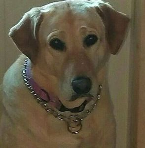 Meet your Posher, Michele